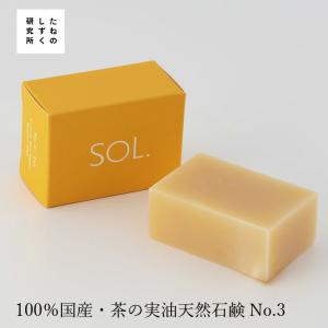 洗顔石けん オーガニック たねのしずく研究所 SOLティーシードスキンケアソープ yes 90g 購入金額別特典あり 無添加 正規品｜mugigokoro-y