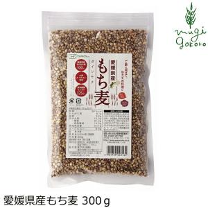 もち麦 創健社 愛媛県産もち麦 300ｇ 購入金額別特典あり 正規品 ナチュラル 天然 無添加 不要な食品添加物 化学調味料不使用 自然食品
