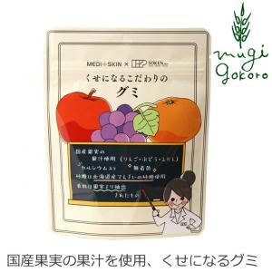 お菓子 創健社 くせになるこだわりのグミ 15粒 国産果実果汁 正規品  ナチュラル 天然 無添加 不要な食品添加物 化学調味料不使用