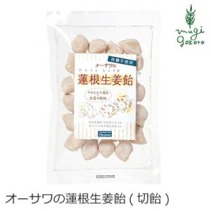 飴 無添加 オーサワジャパン オーサワの蓮根生姜飴 切飴 100ｇ 購入金額別特典あり 正規品 ナチュラル 天然 無添加 不要な食品添加物 化学調味料不使用 自然食品