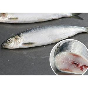 ニシン缶詰 千葉産直サービス 魚好きのための旬...の詳細画像4