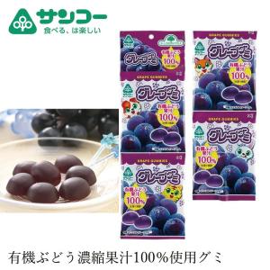 サーティーン 13 ラウンド缶 ミンタブ ミントタブレット サーティーン