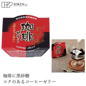 金槍固元湯（150g/30包）2個セット※固本培元湯（こもとばいげんたん