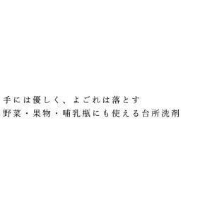 台所洗剤 無添加 スピカココ キッチンスピカコ...の詳細画像1