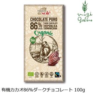 チョコレートソール ダークチョコレート 86% 100g 有機JAS認証品 ヴィーガン認定 グルテンフリー 購入金額別特典あり 正規品｜mugigokoro-y