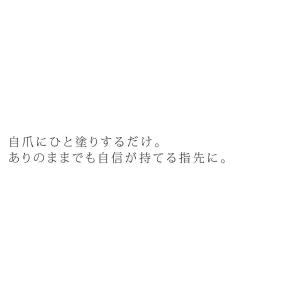 アンドネイル キューティクルオイル 爪強化液 ...の詳細画像2