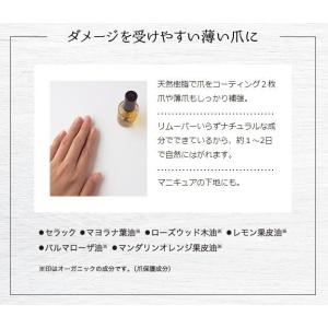 アンドネイル キューティクルオイル 爪強化液 ...の詳細画像3