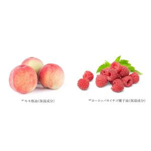アイシャドウ 無添加 アクア・アクア オーガニ...の詳細画像4