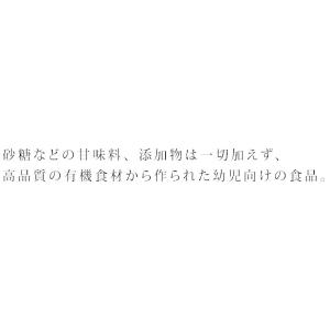 ベビービオ オーガニック スムージー ベビース...の詳細画像2