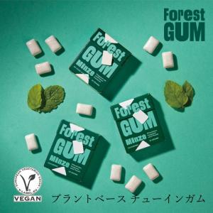 チューイングガム Forest Gum フォレス...の商品画像