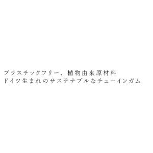 チューイングガム Forest Gum フォレ...の詳細画像1