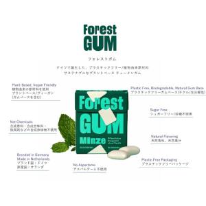 チューイングガム Forest Gum フォレ...の詳細画像3