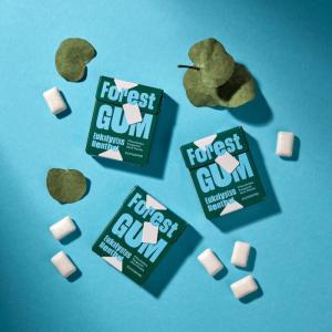 チューイングガム Forest Gum フォレ...の詳細画像5