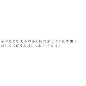 ベビー箸 iiwan おはし 金額別購入特典あ...の詳細画像1