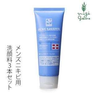洗顔料 メンズアクネバリア 薬用ウォッシュ 医薬部外品 100g 石澤研究