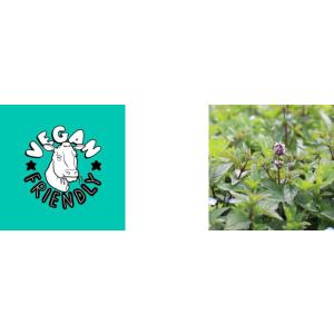 ペッパースミス ミント タブレット 無添加 P...の詳細画像2