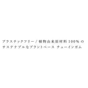 チューインガム 無添加 トゥルーガム 21g ...の詳細画像1