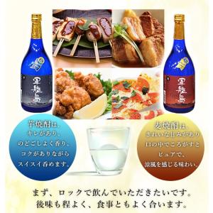 軍艦島芋焼酎300ml -長崎 芋焼酎 芋 敬...の詳細画像2