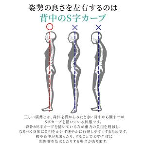 姿勢矯正コルセット コルセット 猫背 猫背矯正...の詳細画像4
