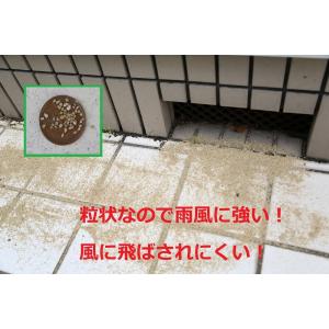 ムカデ博士 10kg ムカデ 博士 対策 駆除...の詳細画像4