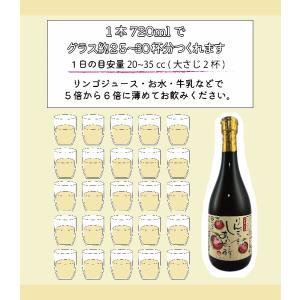 醸造酢 りんご酢 「りんごっす しあわせっ酢」...の詳細画像4