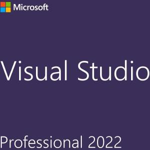 Visual Studio Professional 2022 日本語 [ダウンロード版] / 1PC