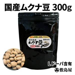 ムクナ豆 天然自然食 生ムクナ豆 300g入 調理用 料理 健康食品