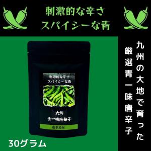 青一味唐辛子 青唐辛子 九州産 刺激的な辛さ スパイシーな青 30g入り 袋入  マイ唐辛子 スパイス ギフト プレゼント とうがらし トウガラシ 国産唐辛子
