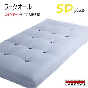 イワタ ラークオール SD レギュラー キャメル...の商品画像