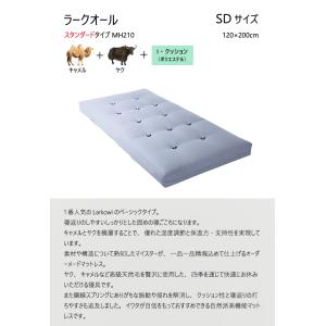 イワタ ラークオール SD レギュラー キャメ...の詳細画像1