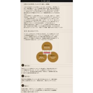 イワタ ラークオール SD レギュラー キャメ...の詳細画像5
