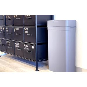 【即納】ライクイット ダストボックス シールズ...の詳細画像4