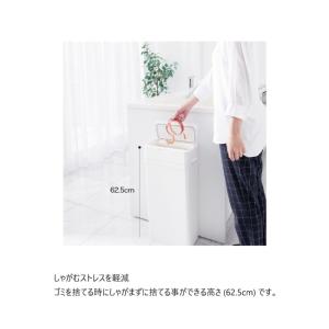 【即納】ライクイット ダストボックス シールズ...の詳細画像5