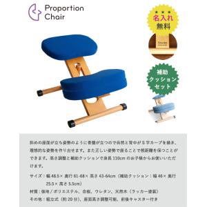 【即納 / 名入れ無料 / 選べる補助クッショ...の詳細画像1