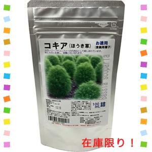 コキア 苗の商品一覧 通販 Yahoo ショッピング