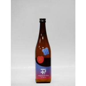 ワカエビスプラス 003 720ml (三重の地酒・日本酒)