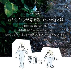 マルチピュア Aquamini 浄水器 ステン...の詳細画像4