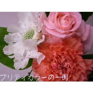 母の日 花束 おまかせ２3 母の日に贈る花束 日時指定可 2023年 母の日 5月14日(日) 銀行振込は5月9日まで｜mum56