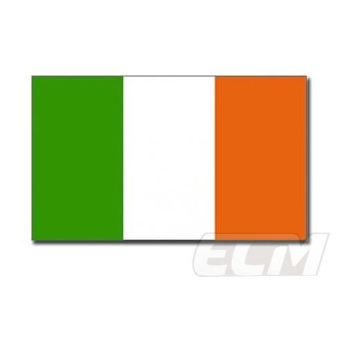 【サポーター必見】アイルランド 国旗　フラッグ【サッカー/アイルランド代表/Ireland/応援グッ...