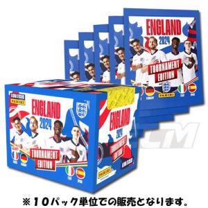 FOR22【国内未発売】PANINI スーパーマリオ トレーディングカード