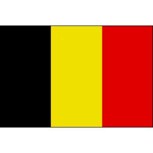 【サポーター必見】ベルギー　国旗フラッグ【サッカー/Jリーグ/応援グッズ/ベルギー代表/Belgiu...