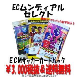 FOR22【国内未発売】PANINI スーパーマリオ トレーディングカード