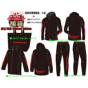 MIZUNO（ミズノ） 2016/2017モデル SPYDER スパイダー ジュニアスキー