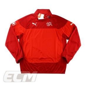予約ECM32】【国内未発売】アイルランド代表 ホーム 長袖 プレイヤー