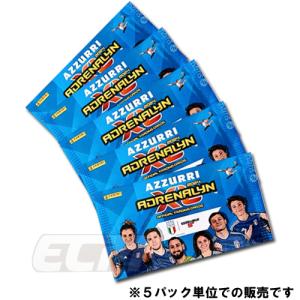 サッカー日本代表オフィシャルカード2013 スペシャルインサート 【日本