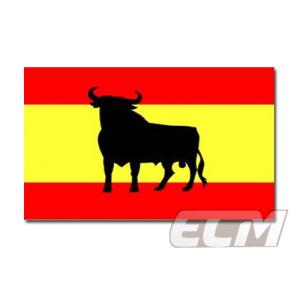 【予約ECM12】【サポーター必見】スペイン 
