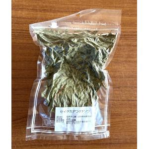 乾燥セイタカアワダチソウ　自然野草(無農薬無施肥)　30g