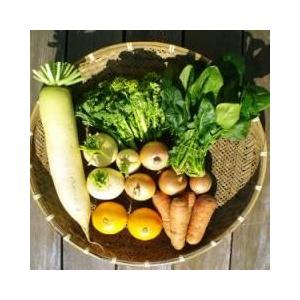 旬の自然栽培野菜　Mセット(6-8品目)｜munouyaku