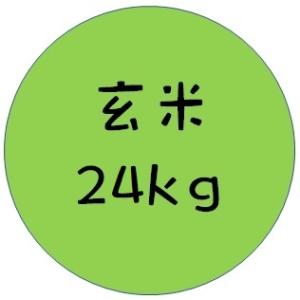 令和5年産　ひめひかり　玄米　２４ｋｇ｜murai-nousan