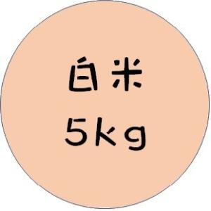 令和5年産　ひめひかり　白米　５ｋｇ